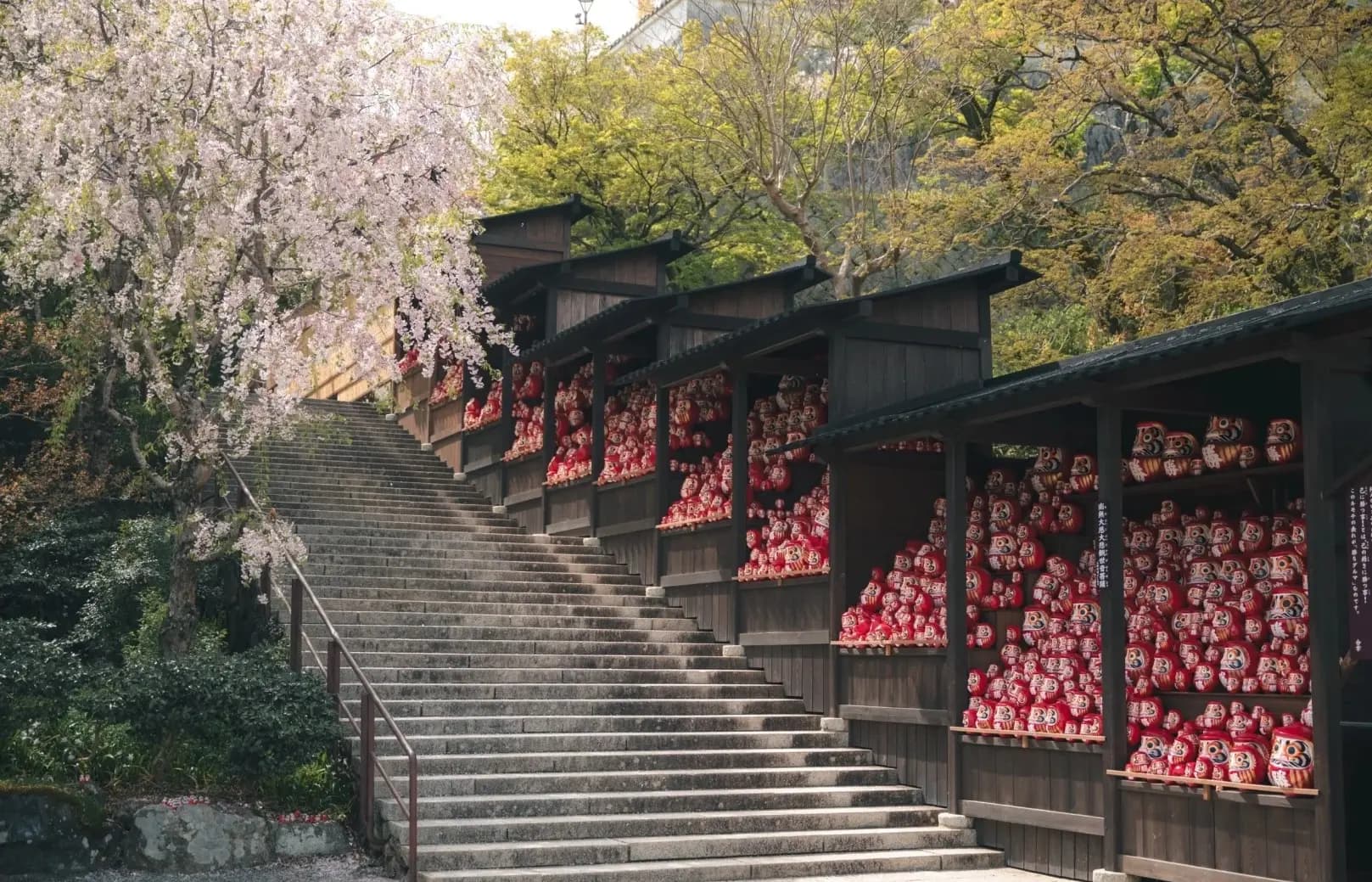 京奈阪慢遊・奈良小鹿・勝尾寺・祇園